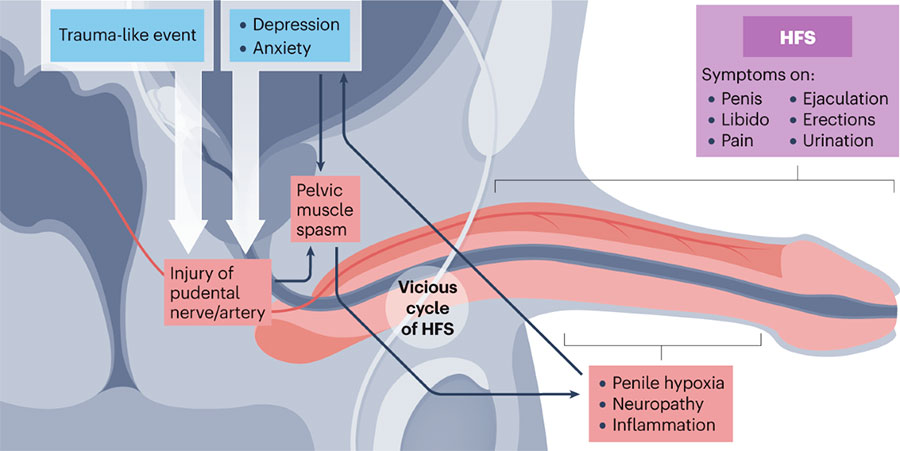 Best Male Sexual Disorder Treatment in Mulund